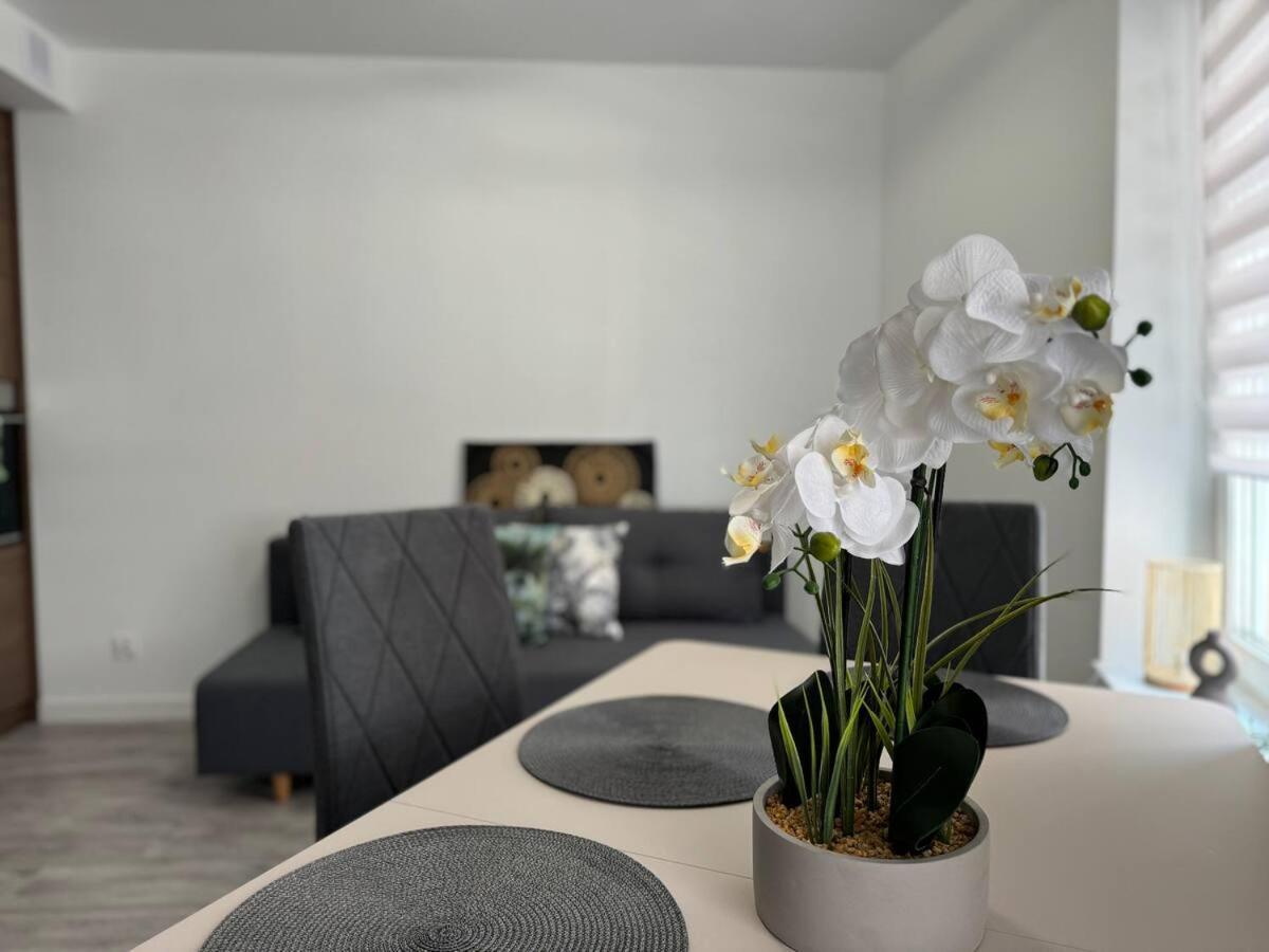 Apartment Kosciuszki P R I M E Katowice